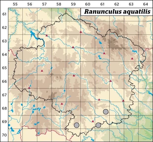 Mapa výskytu - lakušník vodní - Ranunculus aquatilis