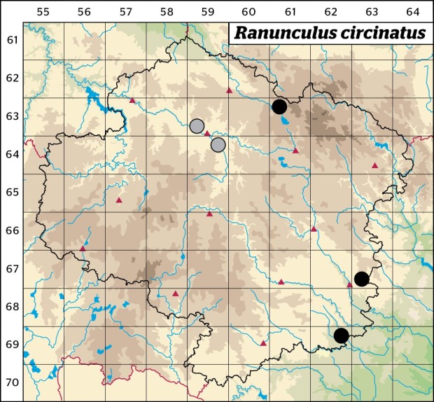 Mapa výskytu - lakušník okrouhlý - Ranunculus circinatus