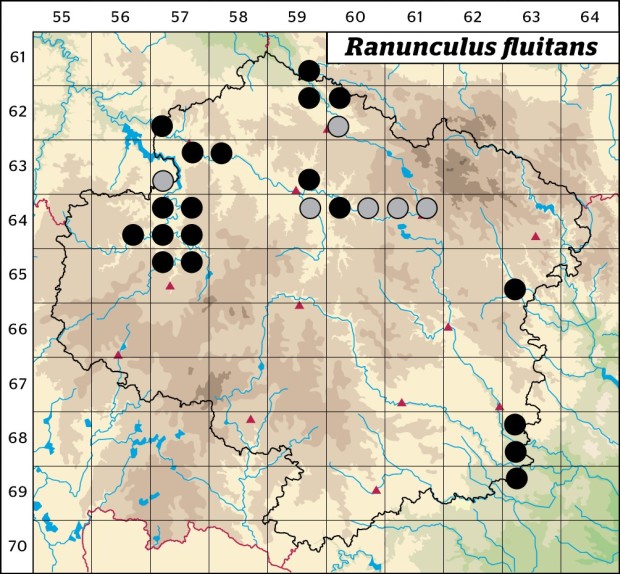 Mapa výskytu - lakušník vzplývavý - Ranunculus fluitans