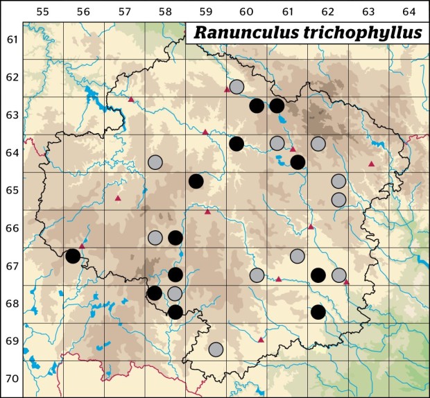 Mapa výskytu - lakušník niťolistý - Ranunculus trichophyllus