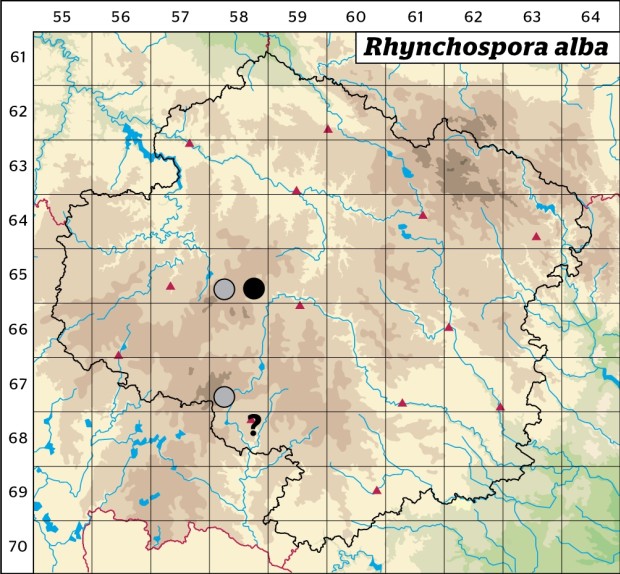 Mapa výskytu - hrotnosemenka bílá - Rhynchospora alba