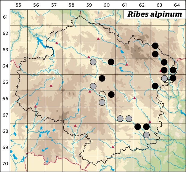 Mapa výskytu - rybíz alpínský - Ribes alpinum