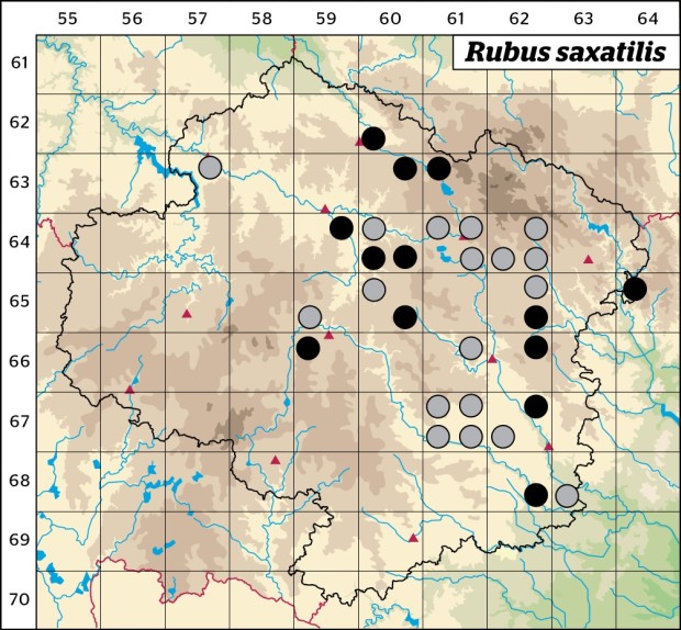 Mapa výskytu - ostružiník skalní - Rubus saxatilis