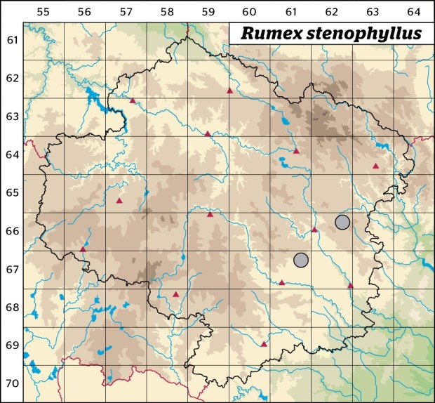 Mapa výskytu - šťovík úzkolistý - Rumex stenophyllus