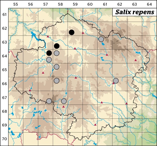 Mapa výskytu - vrba plazivá - Salix repens