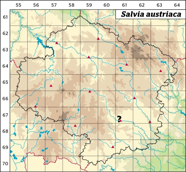 Mapa výskytu - šalvěj rakouská - Salvia austriaca
