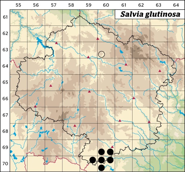 Mapa výskytu - šalvěj lepkavá - Salvia glutinosa