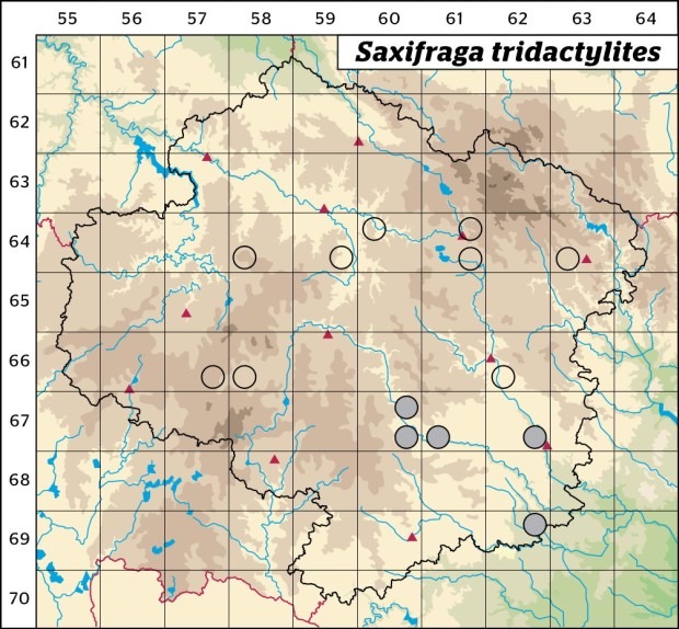 Mapa výskytu - lomikámen trojprstý - Saxifraga tridactylites