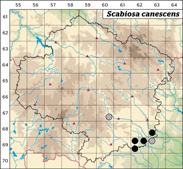 Mapa výskytu - hlaváč šedavý - Scabiosa canescens