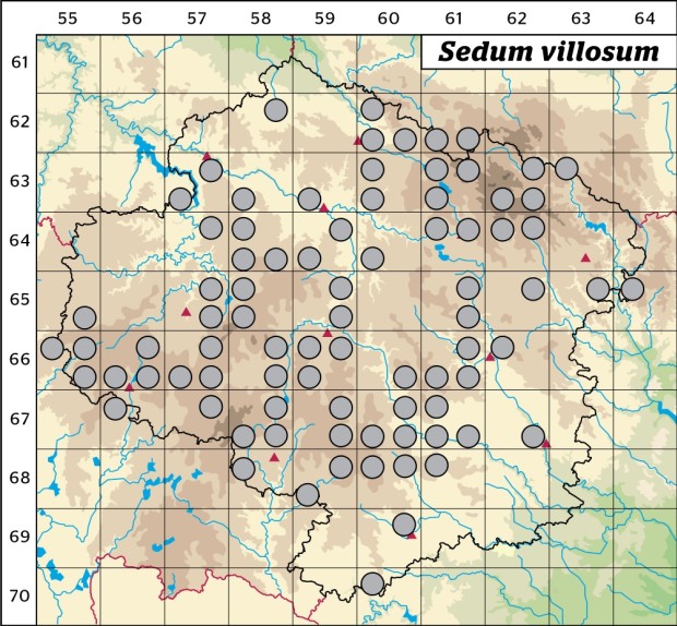 Mapa výskytu - rozchodník huňatý - Sedum villosum