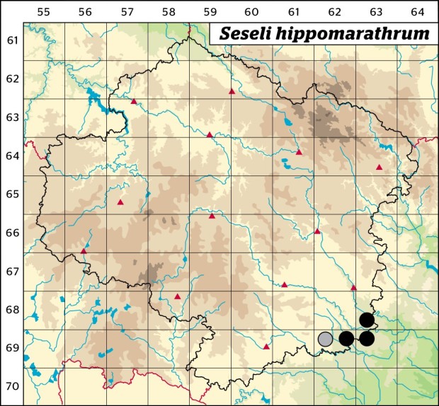 Mapa výskytu - sesel fenyklový - Seseli hippomarathrum