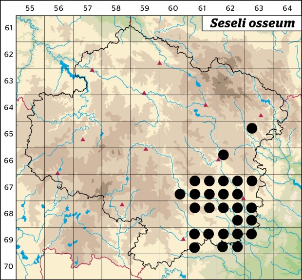 Mapa výskytu - sesel sivý - Seseli osseum