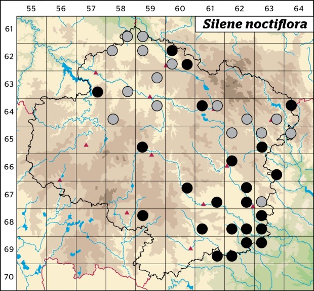 Mapa výskytu - silenka noční - Silene noctiflora