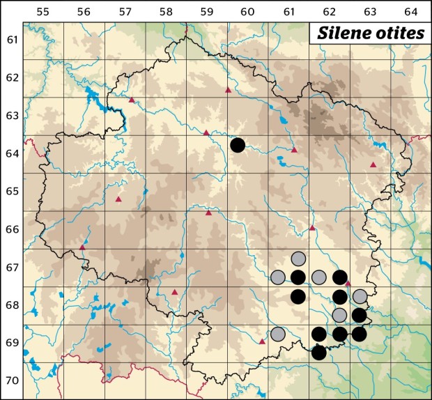 Mapa výskytu - silenka ušnice - Silene otites