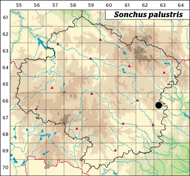 Mapa výskytu - mléč bahenní - Sonchus palustris
