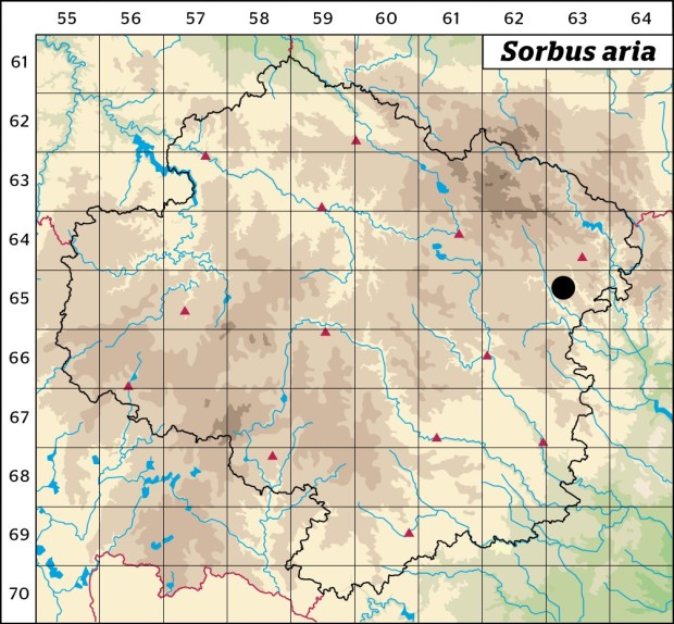 Mapa výskytu - jeřáb muk - Sorbus aria