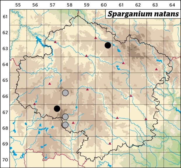 Mapa výskytu - zevar nejmenší - Sparganium natans