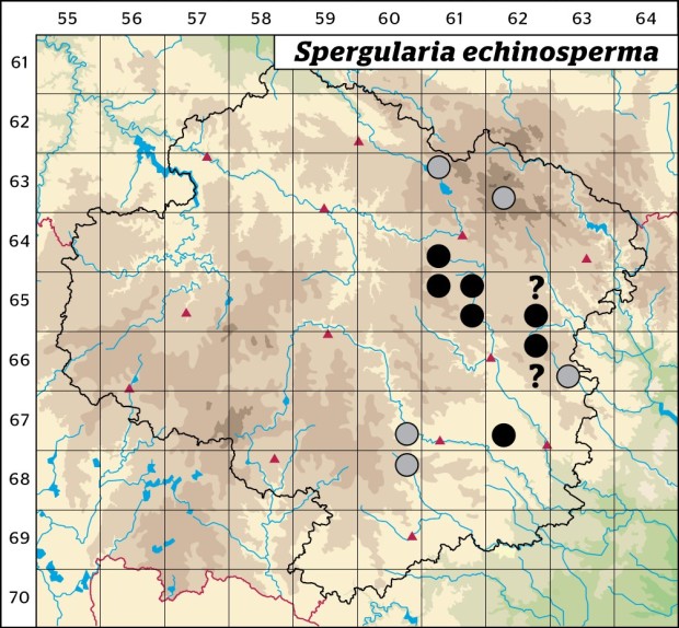 Mapa výskytu - kuřinka ostnosemenná - Spergularia echinosperma