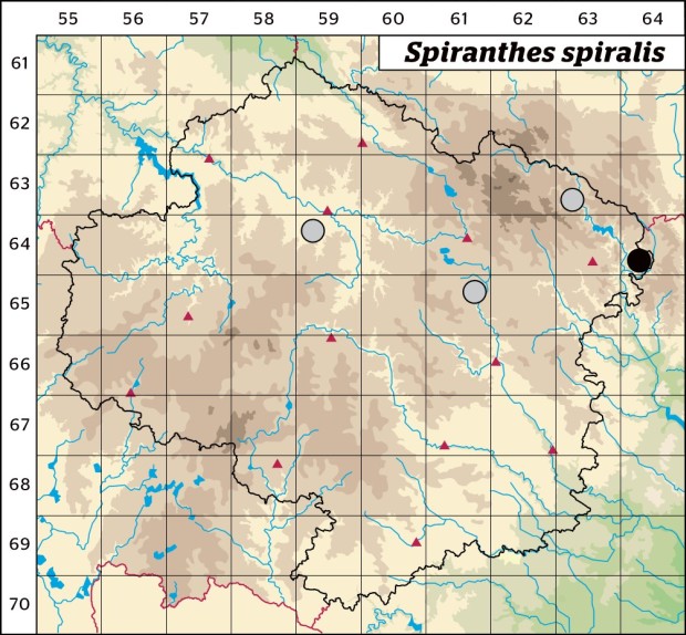 Mapa výskytu - švihlík krutiklas - Spiranthes spiralis