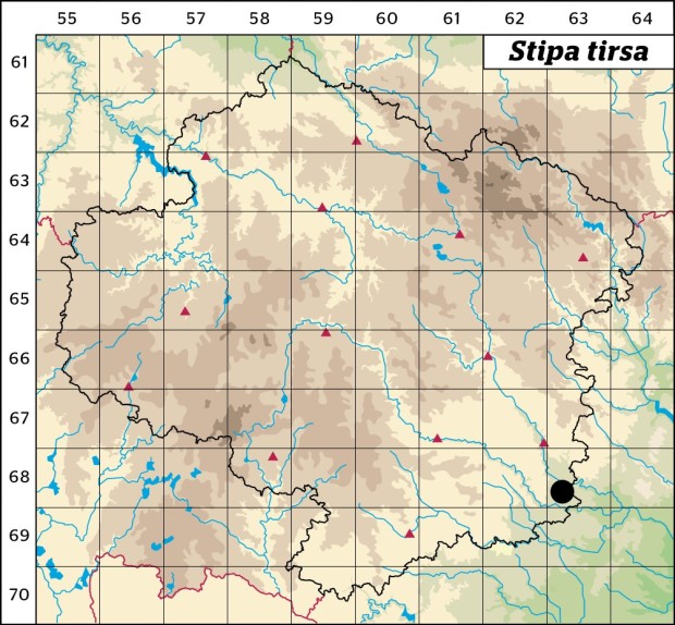 Mapa výskytu - kavyl tenkolistý - Stipa tirsa