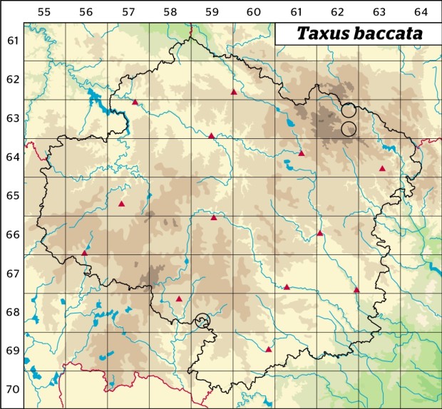 Mapa výskytu - tis červený - Taxus baccata