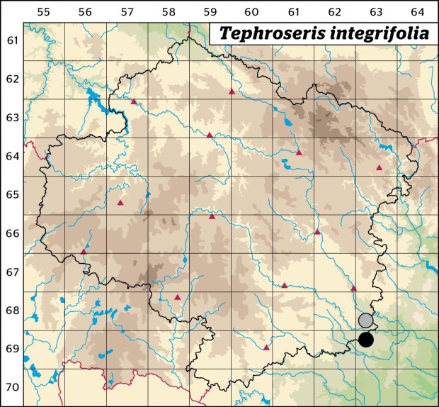 Mapa výskytu - starček celolistý - Tephroseris integrifolia