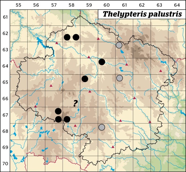 Mapa výskytu - kapradiník bažinný - Thelypteris palustris