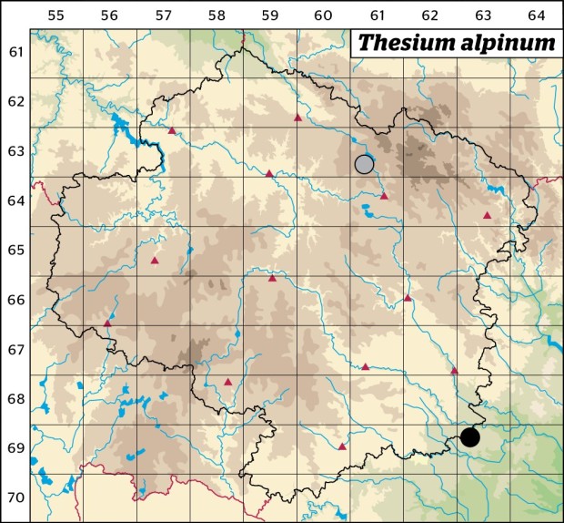 Mapa výskytu - lněnka alpská - Thesium alpinum