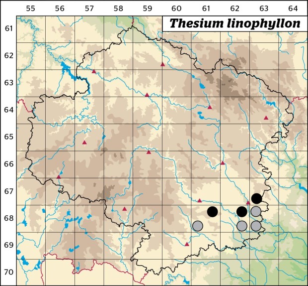 Mapa výskytu - lněnka lnolistá - Thesium linophyllon