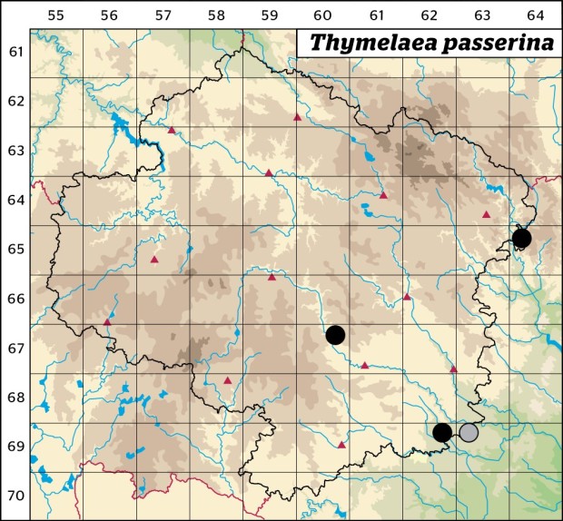 Mapa výskytu - vrabečnice roční - Thymelaea passerina