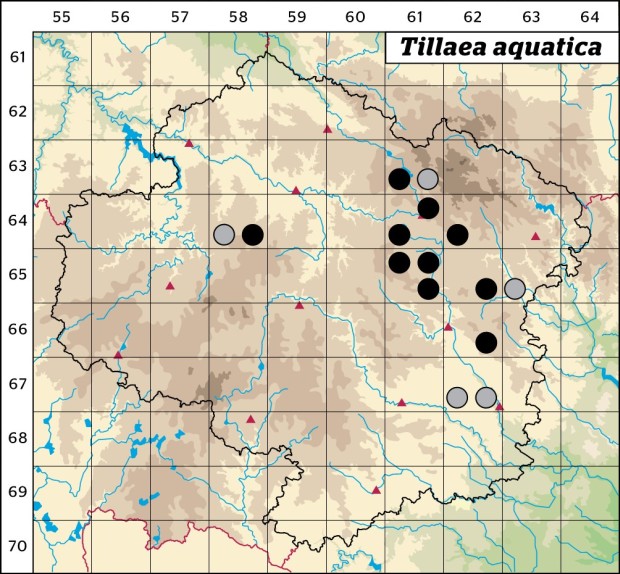 Mapa výskytu - masnice vodní - Tillaea aquatica