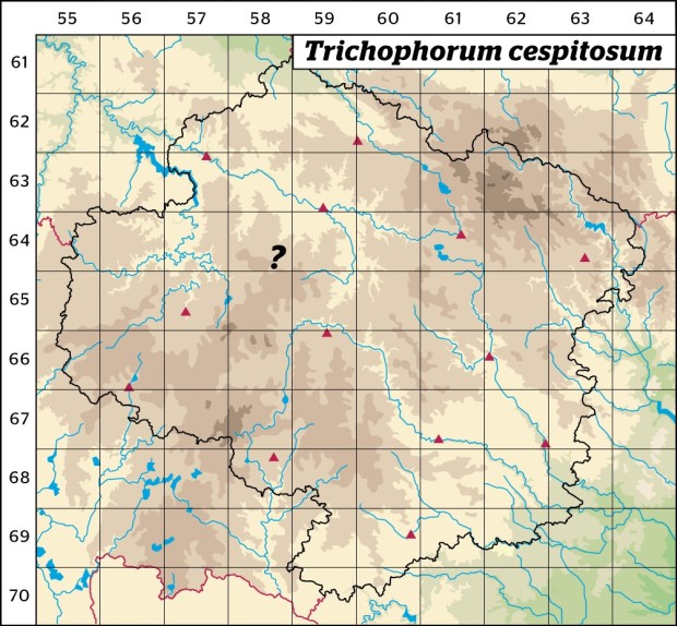 Mapa výskytu - suchopýrek trsnatý - Trichophorum cespitosum
