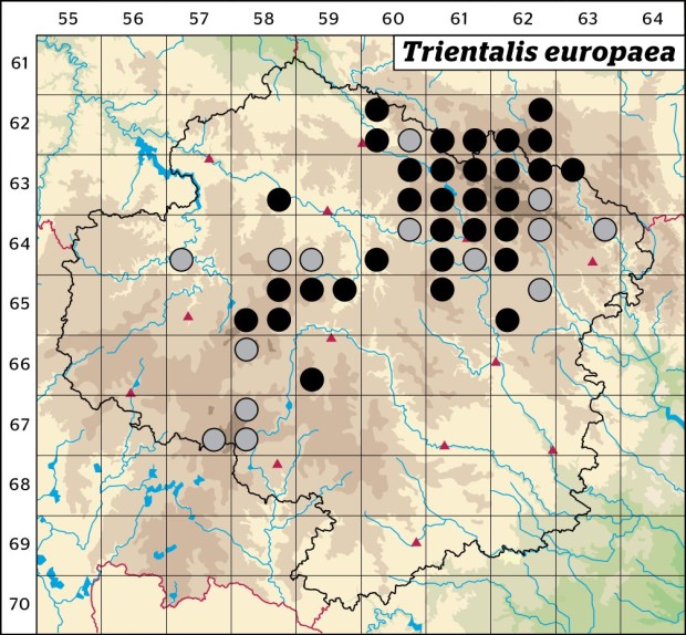 Mapa výskytu - sedmikvítek evropský - Trientalis europaea