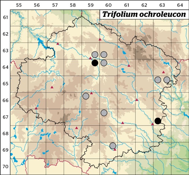 Mapa výskytu - jetel bledožlutý - Trifolium ochroleucon