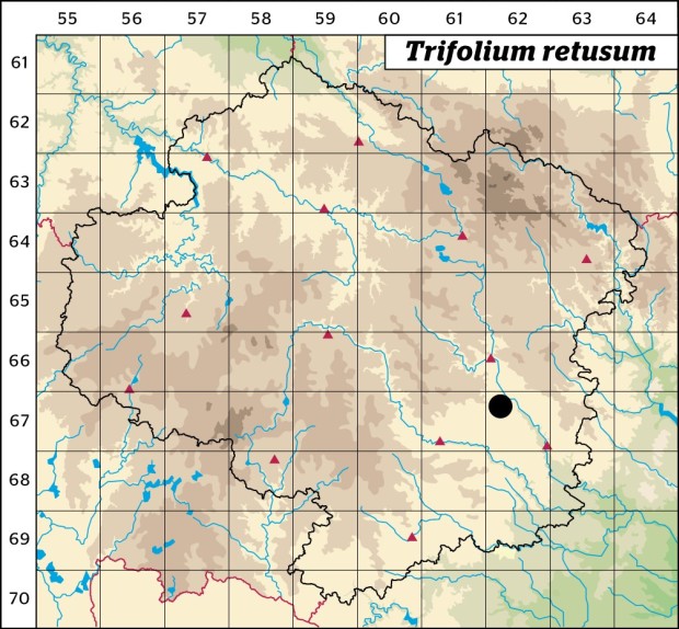 Mapa výskytu - jetel malokvětý - Trifolium retusum