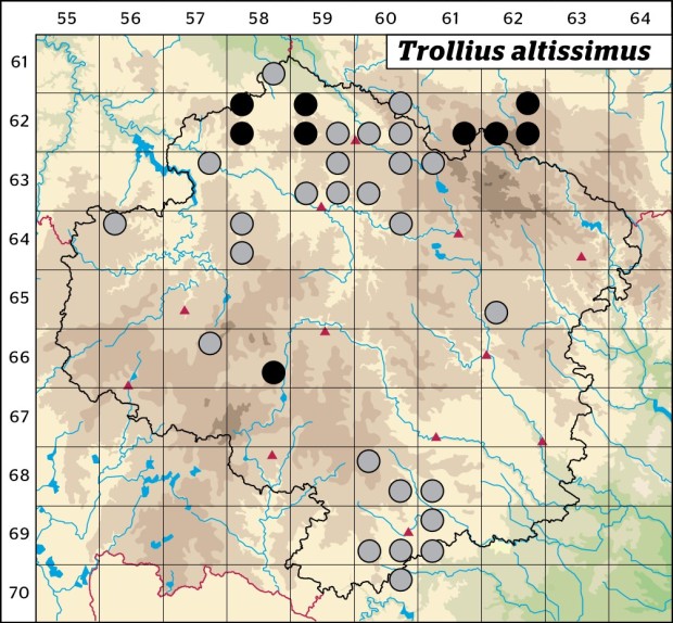 Mapa výskytu - upolín nejvyšší - Trollius altissimus