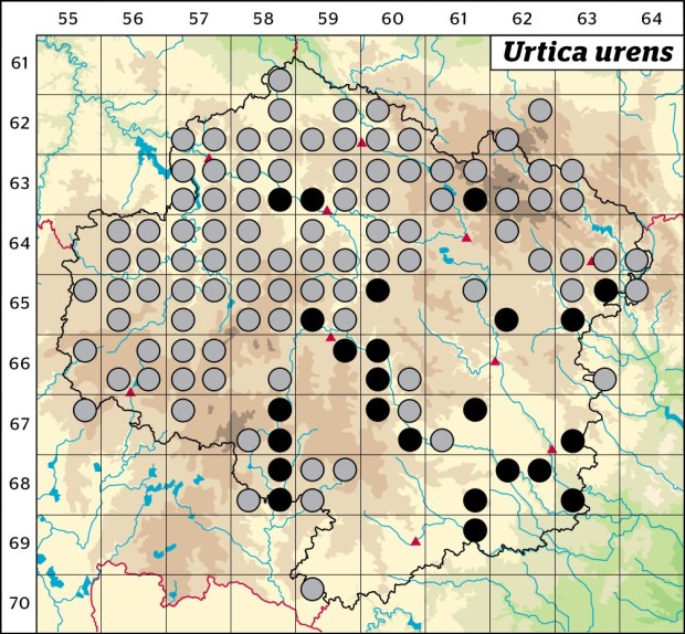 Mapa výskytu - kopřiva žahavka - Urtica urens