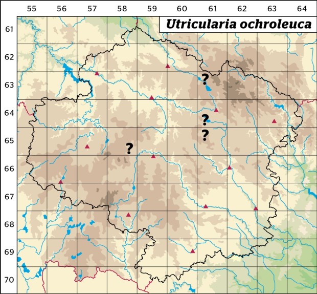 Mapa výskytu - bublinatka bledožlutá - Utricularia ochroleuca