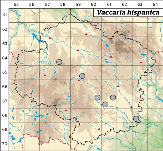 Mapa výskytu - kravinec španělský - Vaccaria hispanica