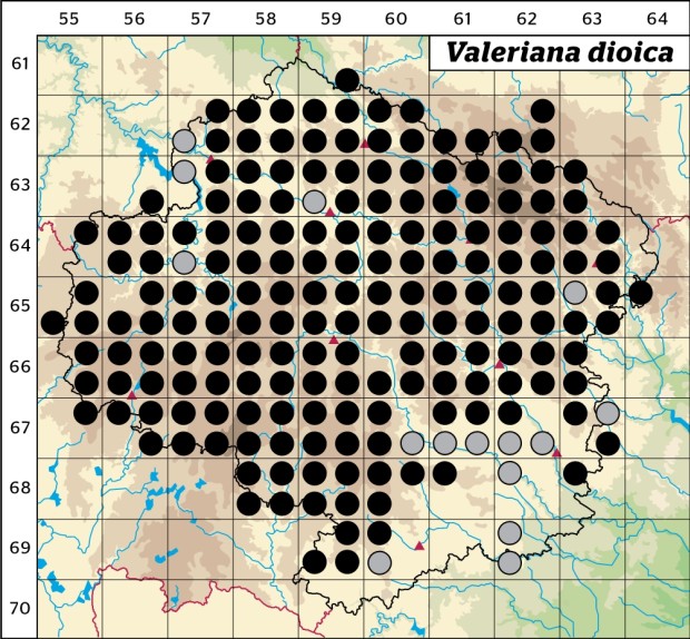 Mapa výskytu - kozlík dvoudomý - Valeriana dioica