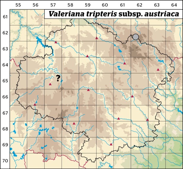 Mapa výskytu - kozlík trojený rakouský - Valeriana tripteris subsp. austriaca