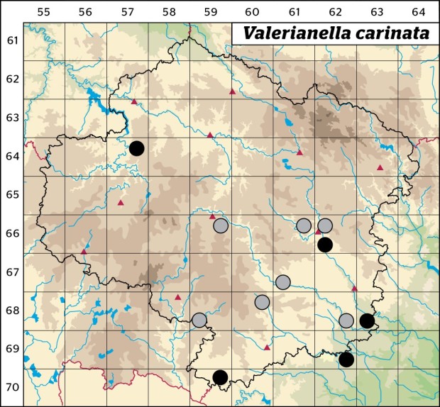 Mapa výskytu - kozlíček kýlnatý - Valerianella carinata