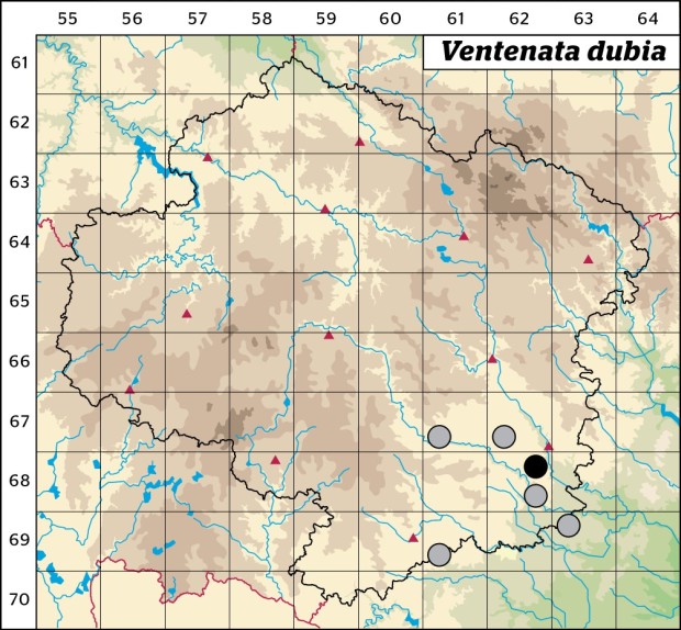 Mapa výskytu - ovsiřík štíhlý - Ventenata dubia