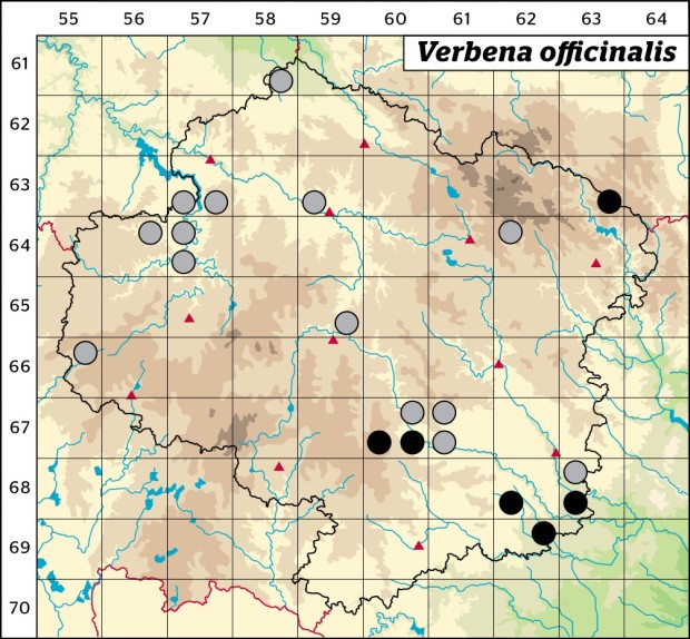 Mapa výskytu - sporýš lékařský - Verbena officinalis