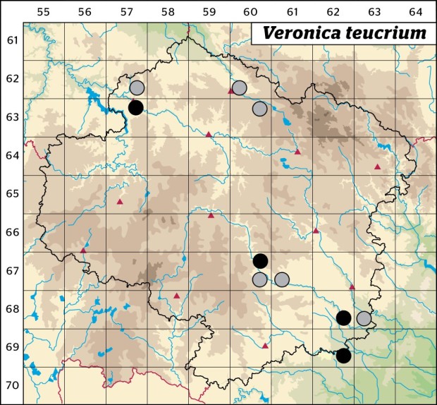 Mapa výskytu - rozrazil ožankový - Veronica teucrium