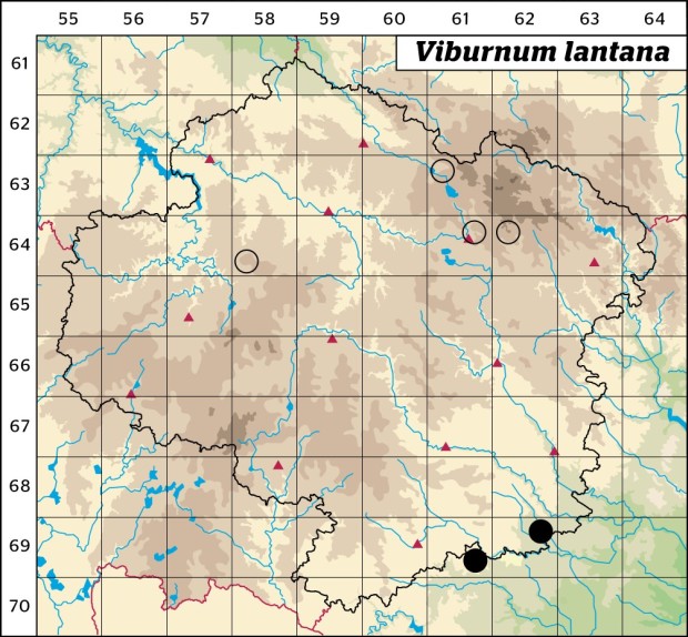 Mapa výskytu - kalina tušalaj - Viburnum lantana