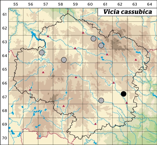 Mapa výskytu - vikev kašubská - Vicia cassubica