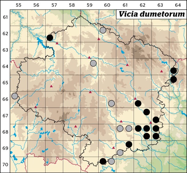 Mapa výskytu - vikev křovištní - Vicia dumetorum