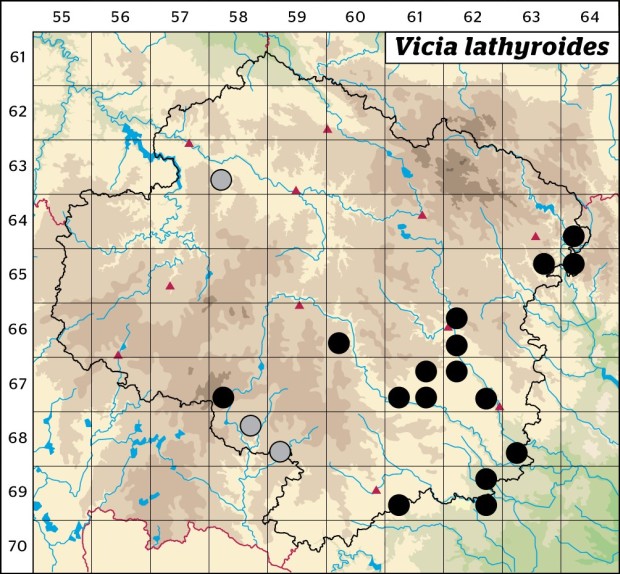 Mapa výskytu - vikev hrachorovitá - Vicia lathyroides