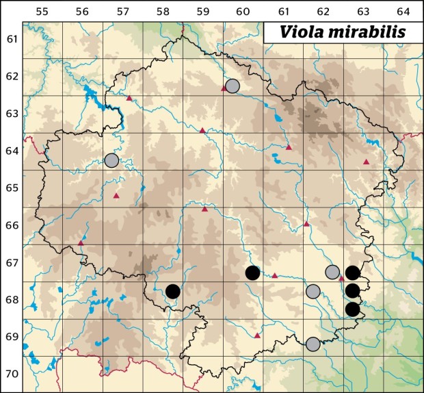 Mapa výskytu - violka divotvárná - Viola mirabilis